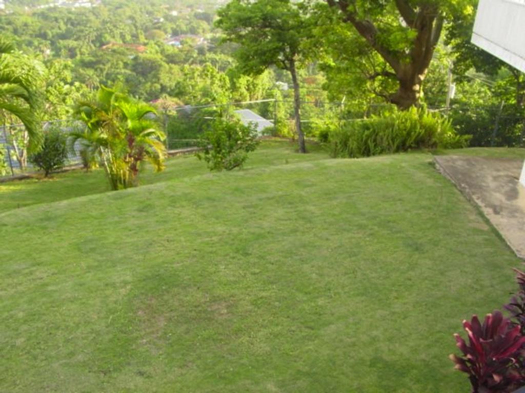Hill Top Kingston Jamaica ภายนอก รูปภาพ